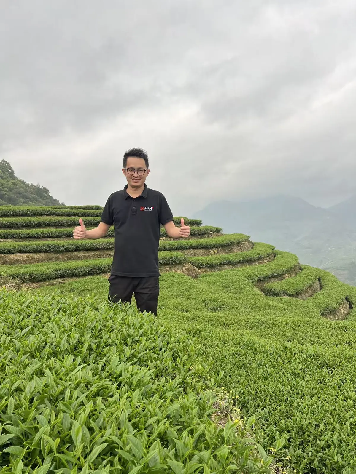 正兰峰创始人何杰钦在彭溪村高山茶园