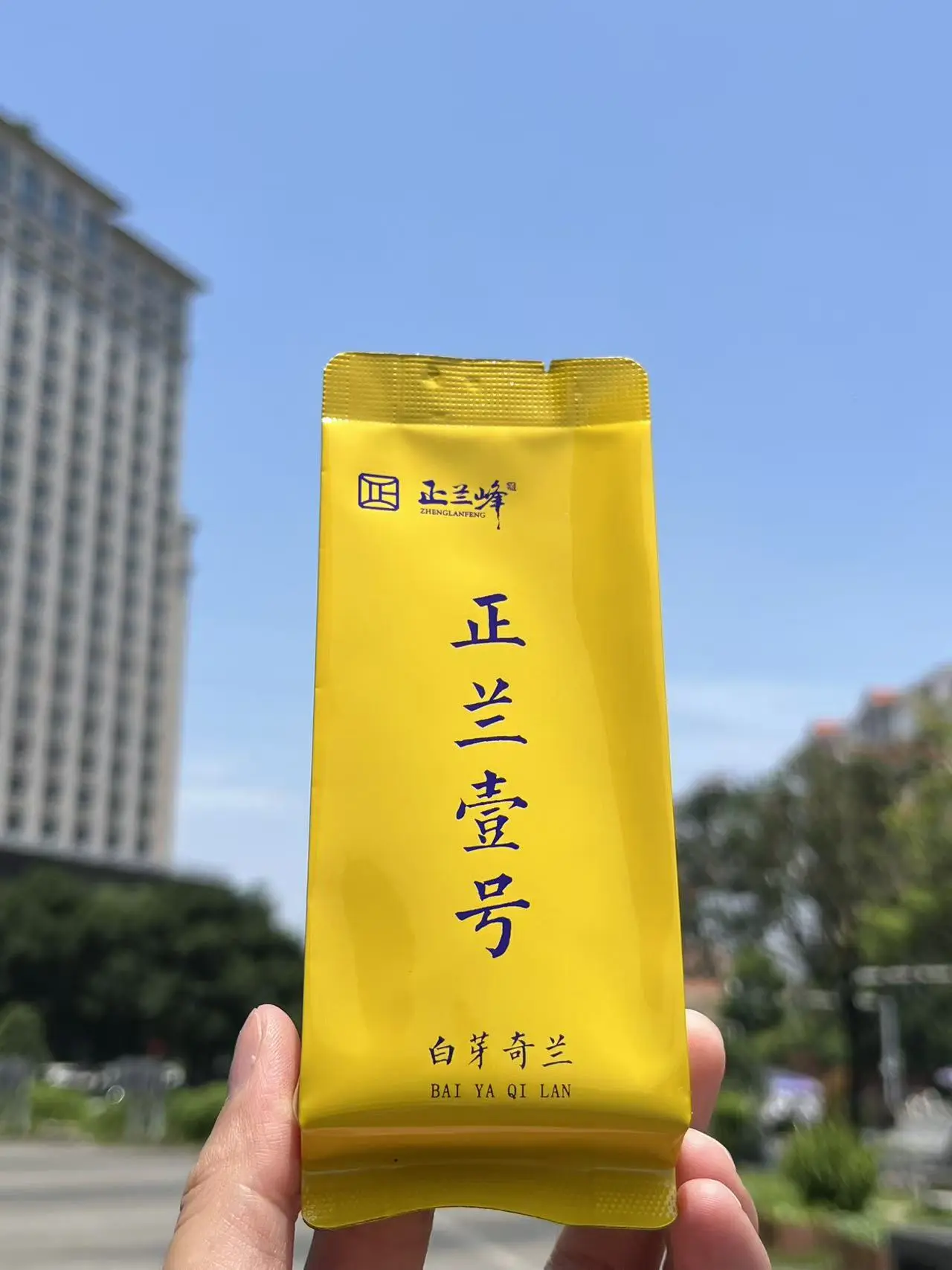 正兰壹号黄色款产品实拍
