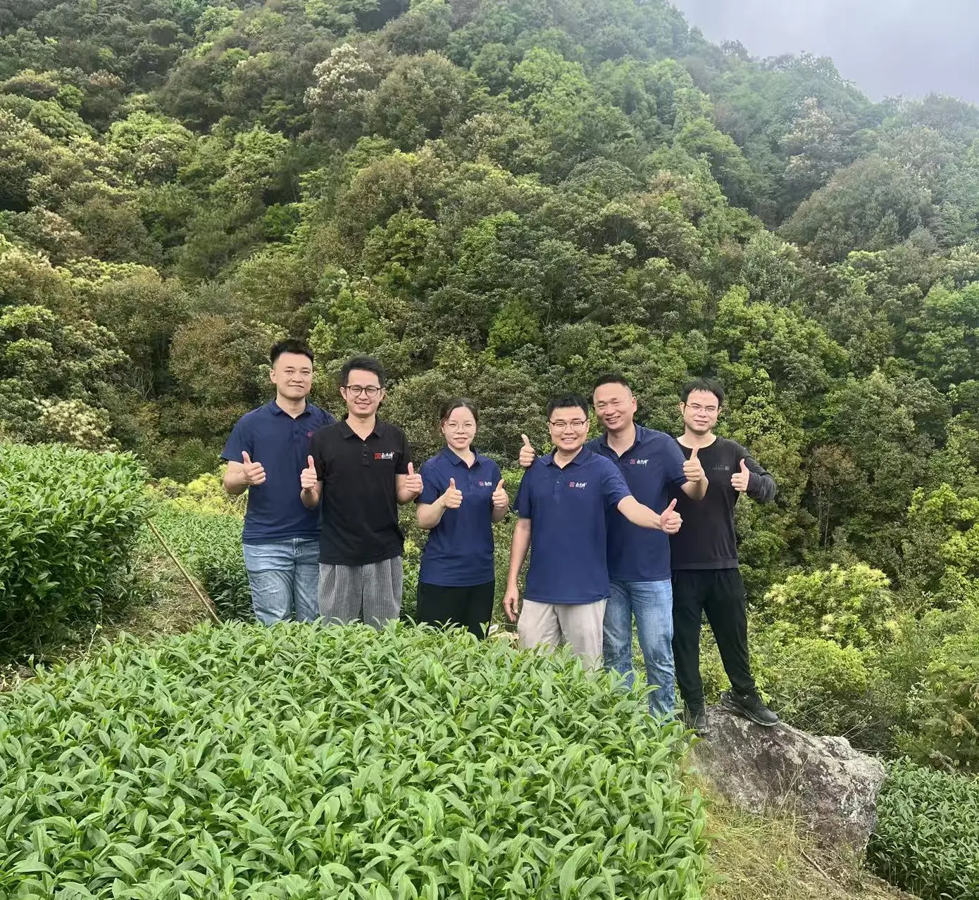 正兰峰团队在彭溪村茶山合影